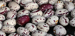 Takkebønner