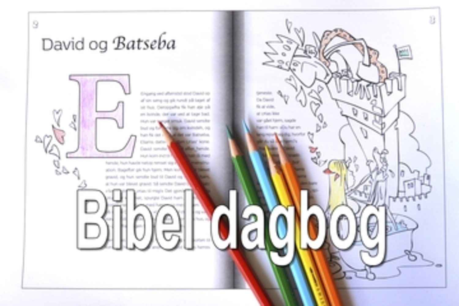 Bibel - dagbog