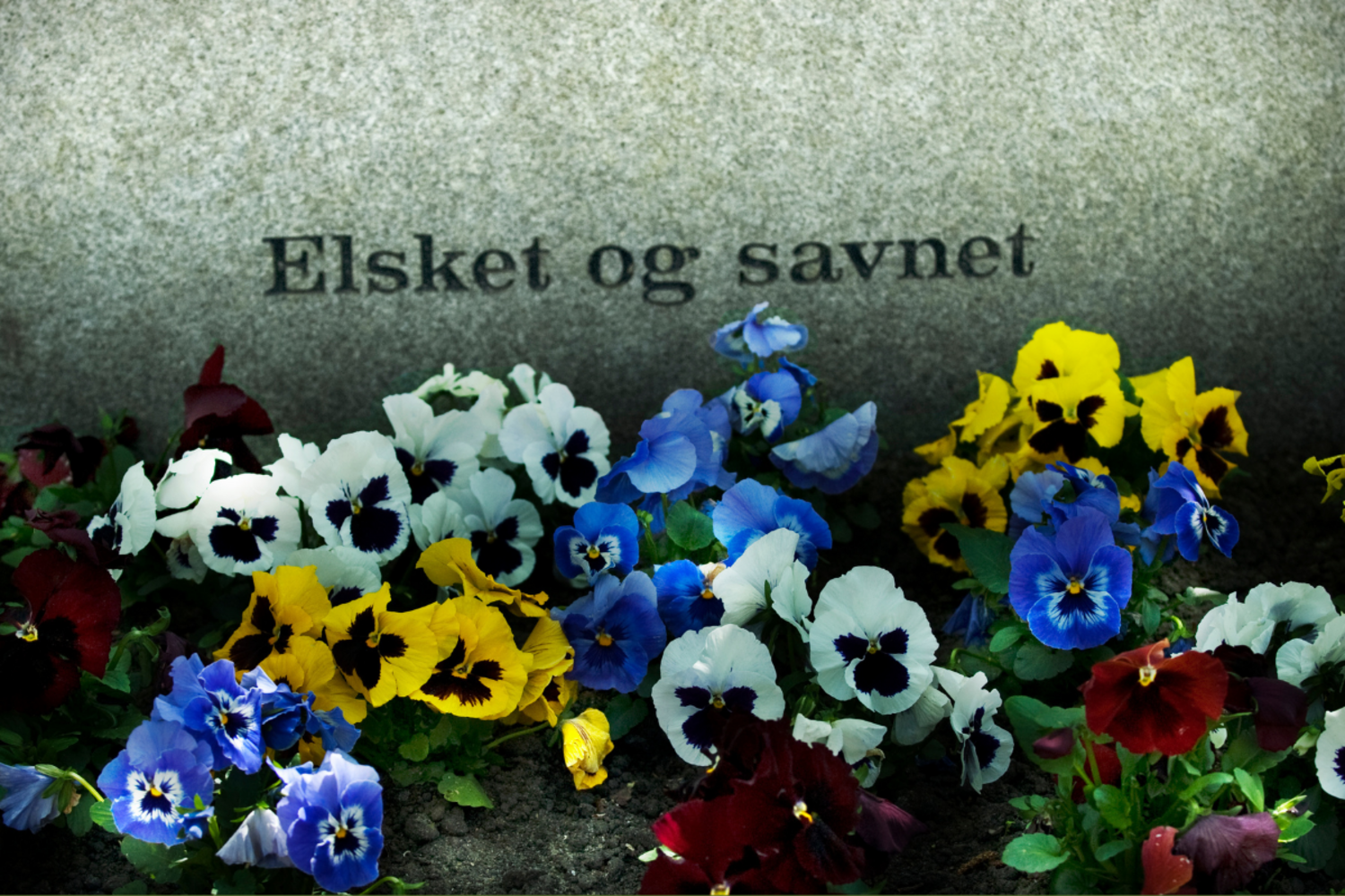 Stjerneløb på kirkegården