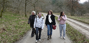 Pilgrimsvandring light om skabelse