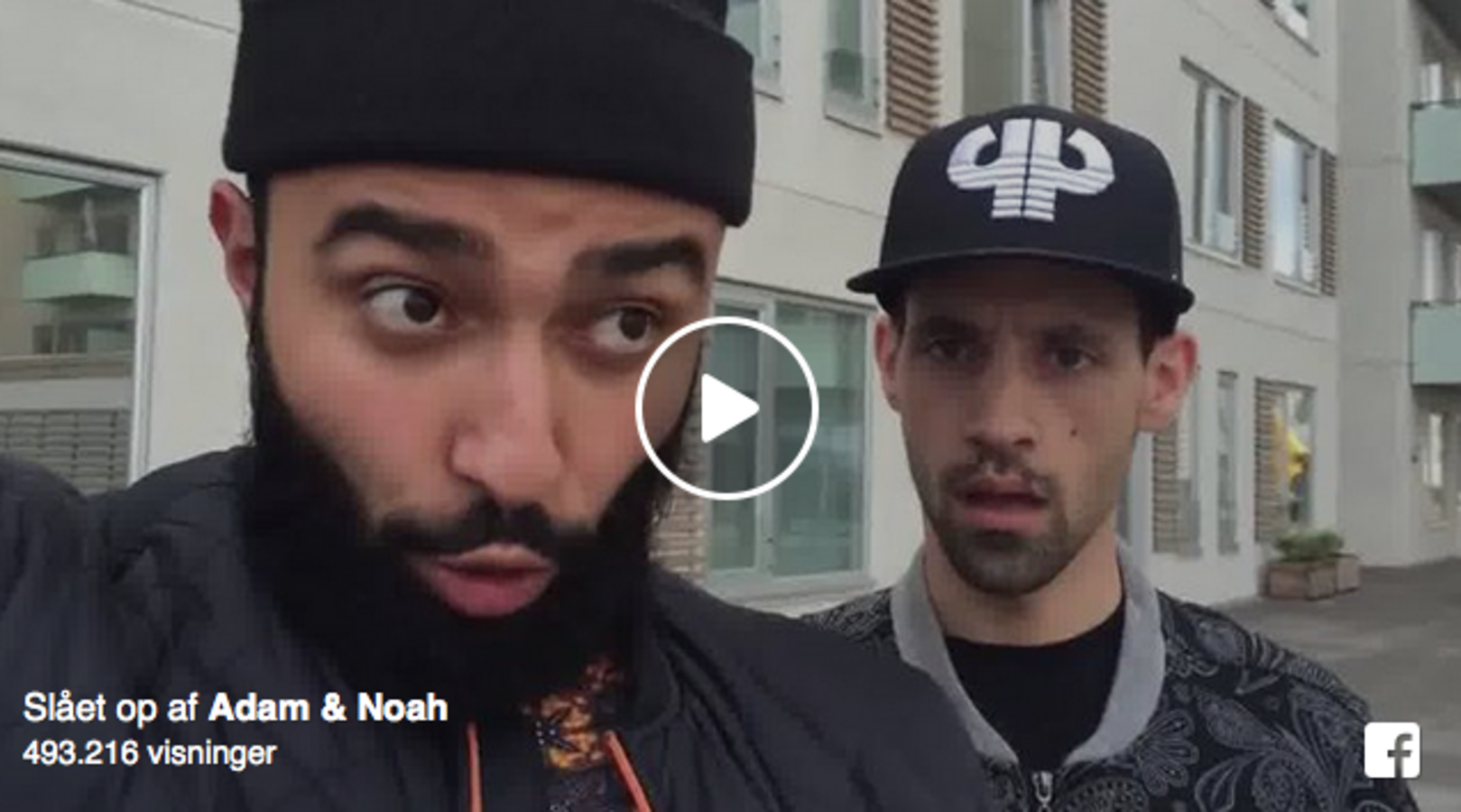 Adam & Noah