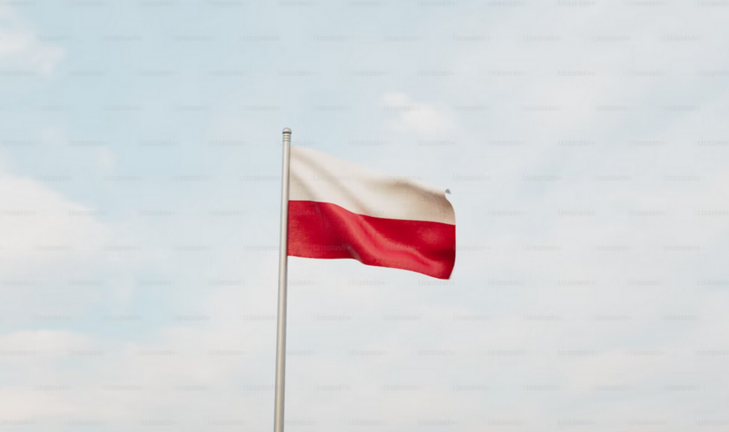 Info til polske elever