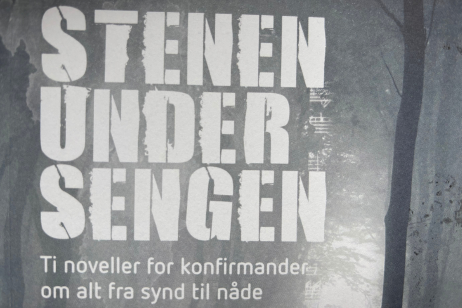 Inkarnationsnoveller