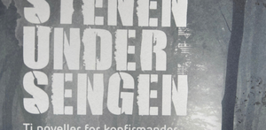 Inkarnationsnoveller