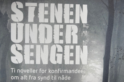Inkarnationsnoveller
