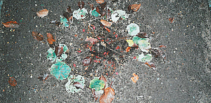 Blomster på graven