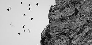 Røst
