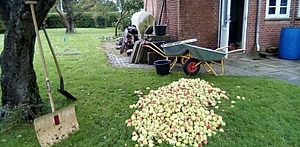 Konfirmander og menighedspleje