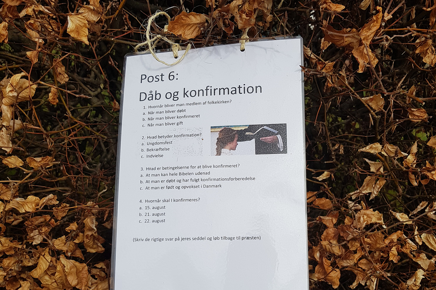 Repetitionsstjerneløb