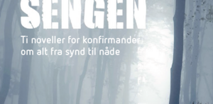 Stenen under sengen