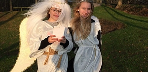Julestjerneløb