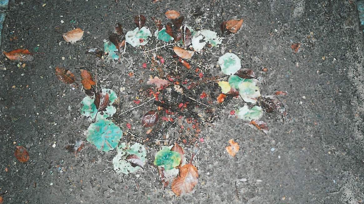Blomster på graven